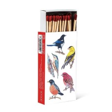 Allumettes Oiseaux d'Amérique du Nord